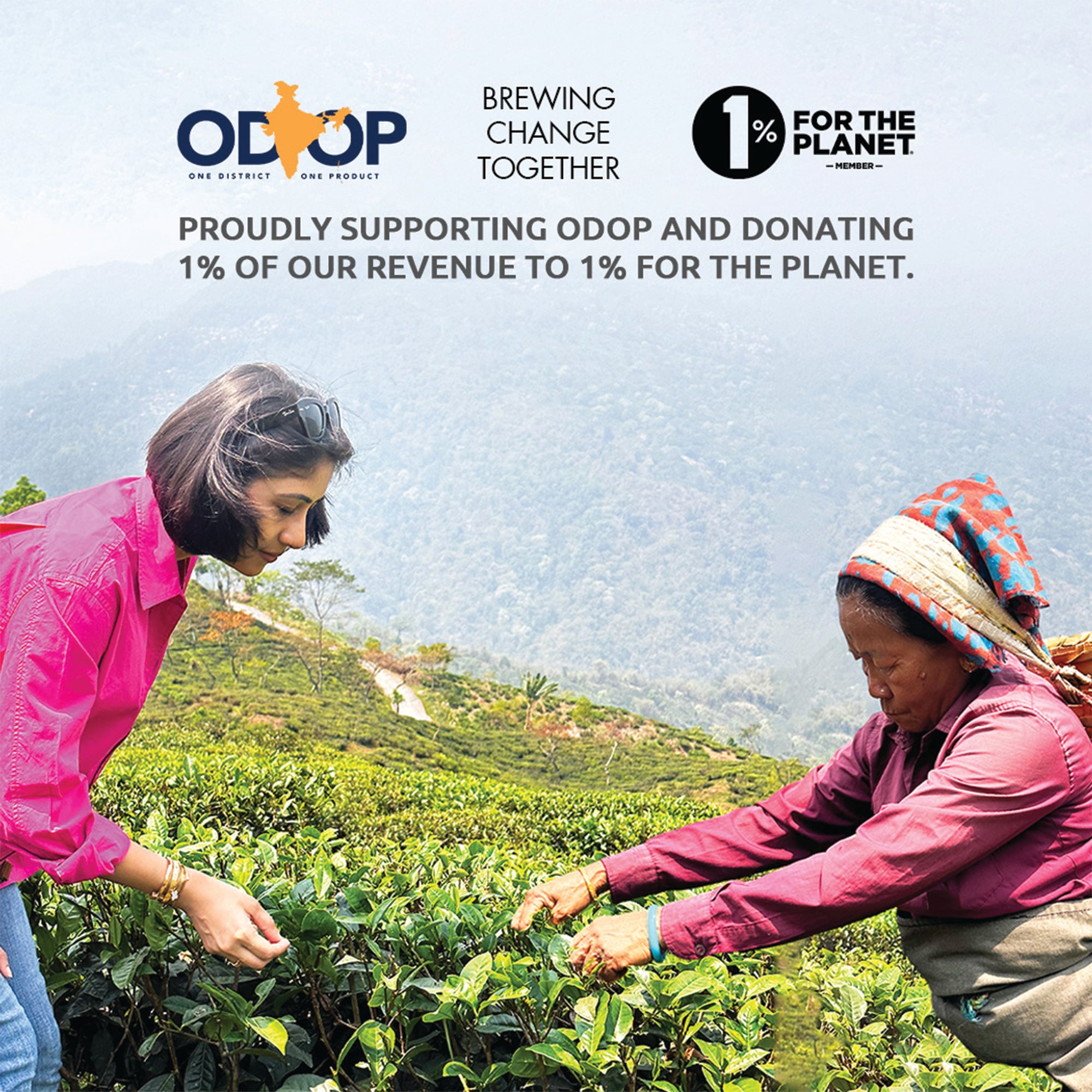 Sattva Ananda Masala Chai