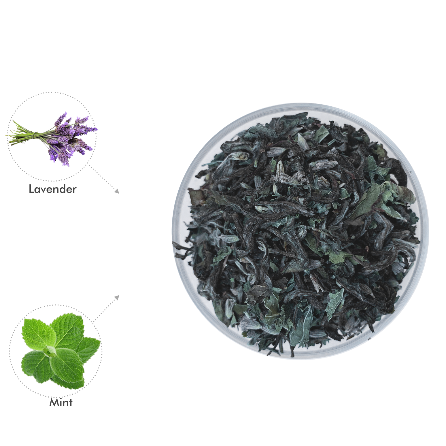 Lavender Mint Tea | Free Spirit