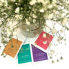Floral Tea Selection (Pack of 4)